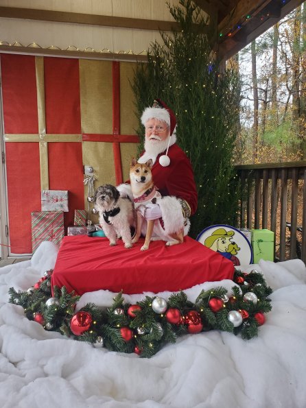 Mia & Buster Lawrence