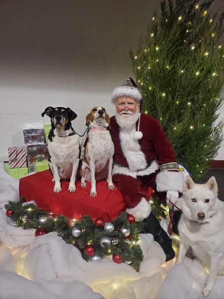 Mia, Lily & Luzzi Pickral