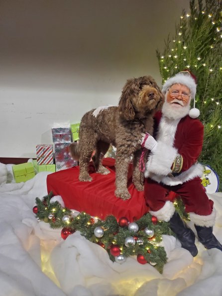 Murphy Brown Johnston (2)