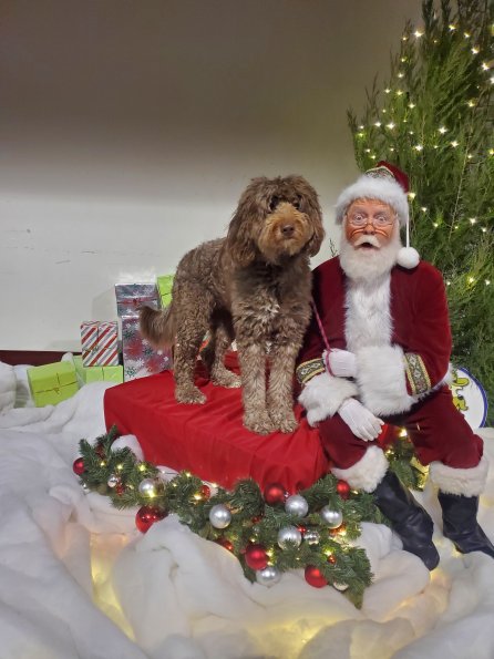 Murphy Brown Johnston