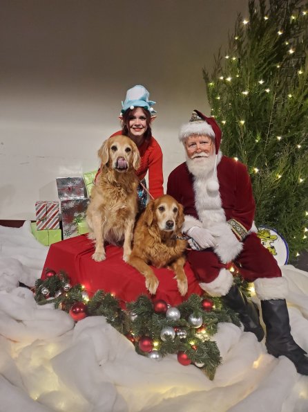 Rosie & Bailey Archer 2