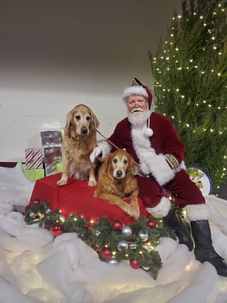 Rosie & Bailey Archer